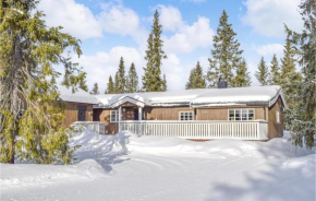 Nice home in Sjusjøen with Sauna, WiFi and 3 Bedrooms